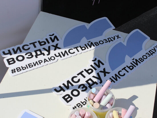     Комсомольчан приглашают присоединиться к эко-акции «Выбираю чистый воздух». ФОТО: администрация Комсомольска