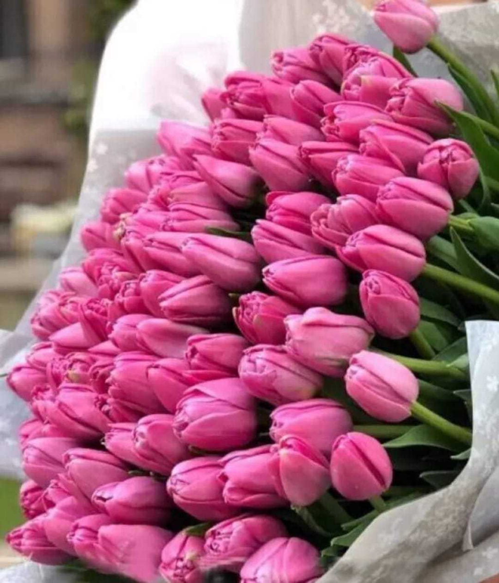 Большие букеты тюльпанов