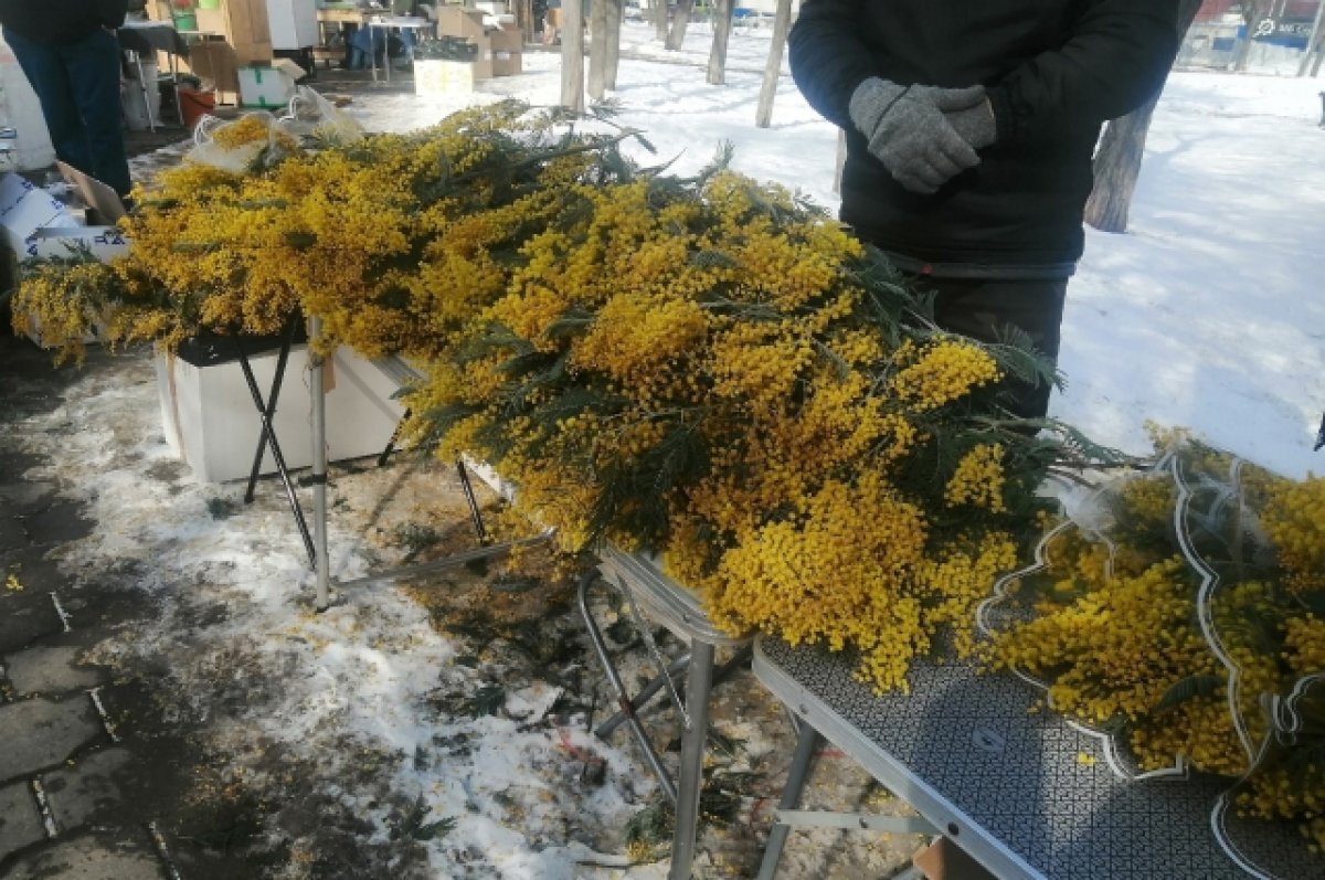    В Туле 8 марта ожидается мокрый снег, сильный ветер и до +2