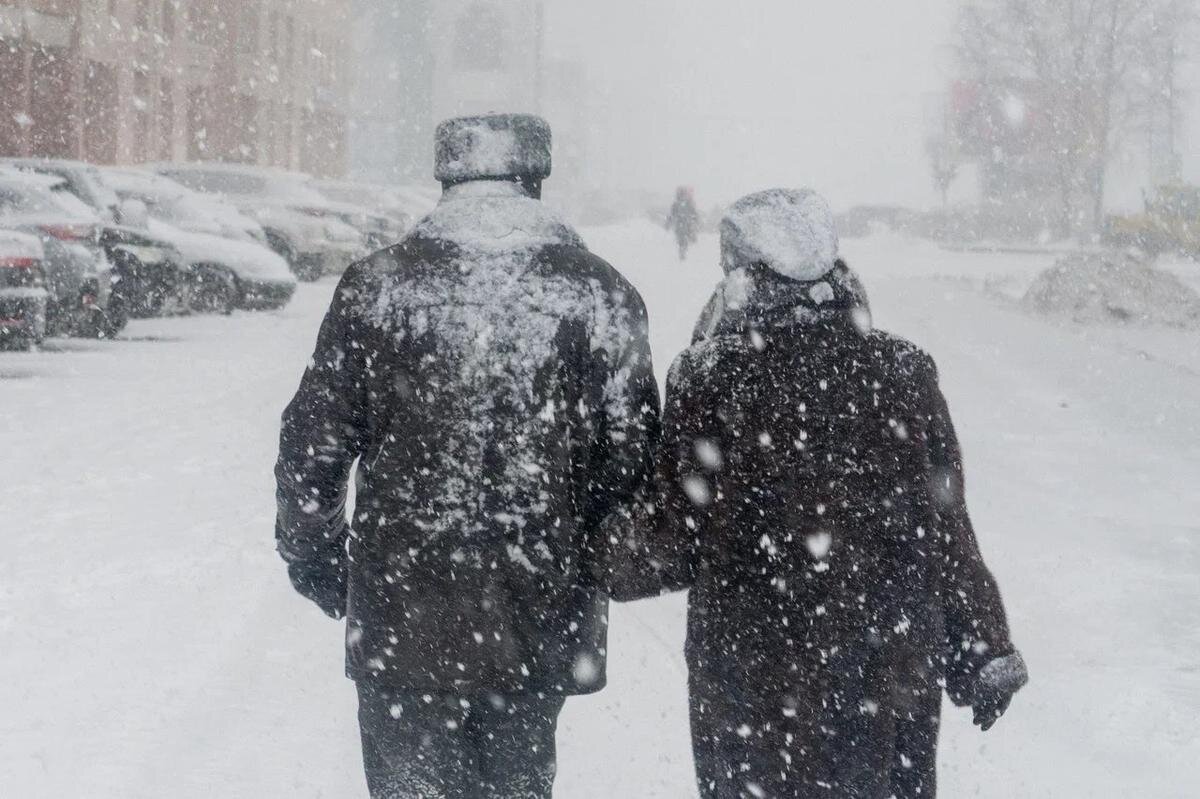 Фото: Олег Золото / MR7