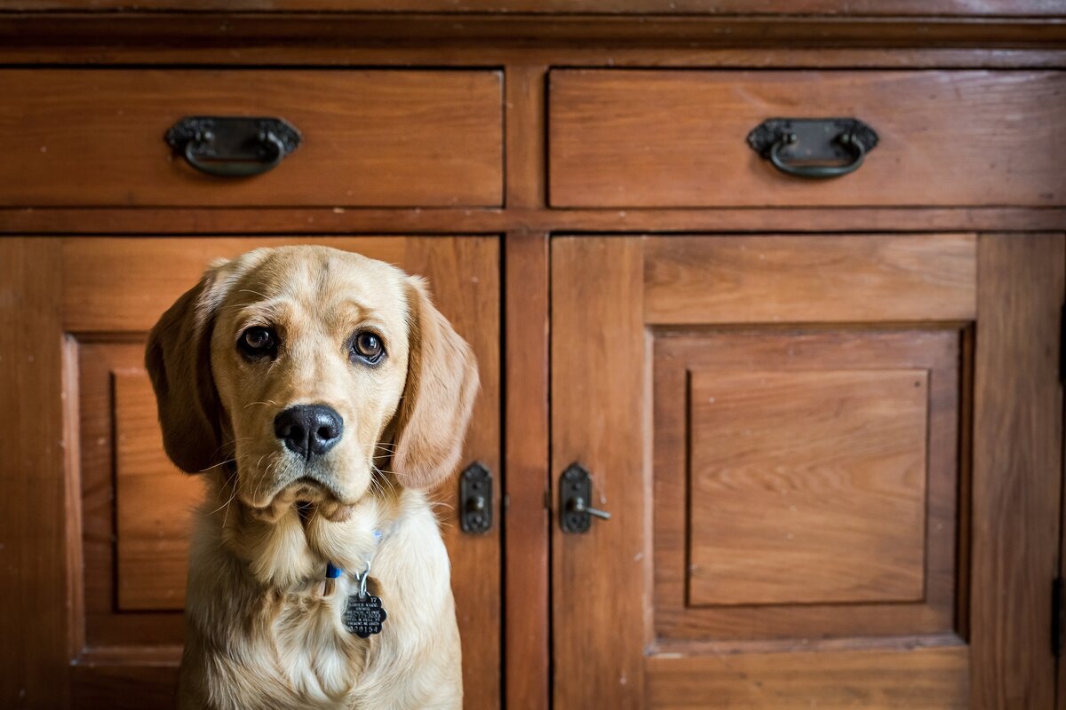 Источник kpravda.ru