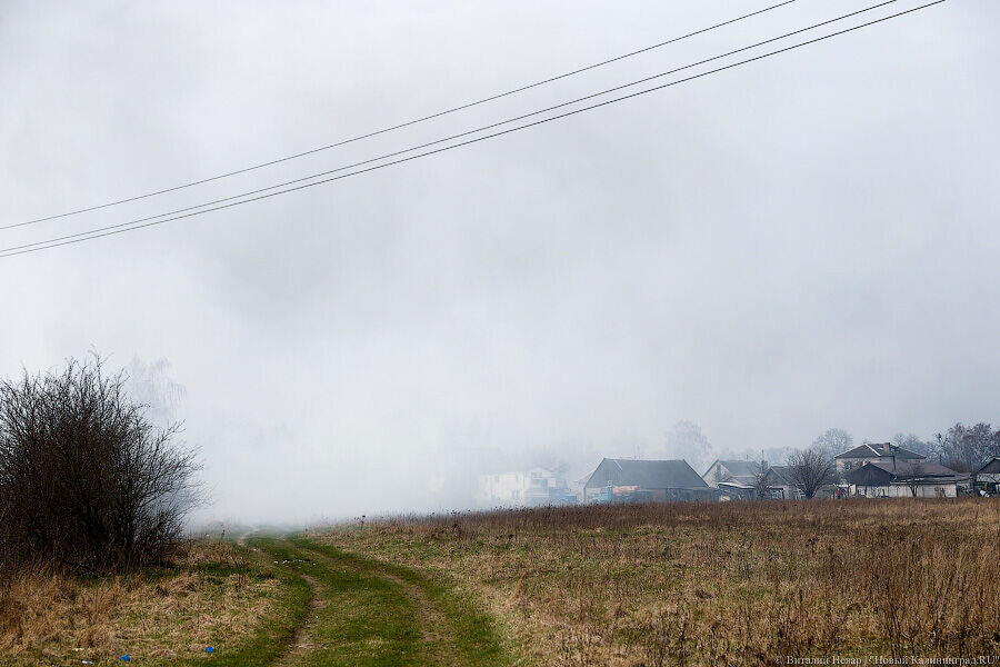 Фото: Виталий Невар / Новый Калининград