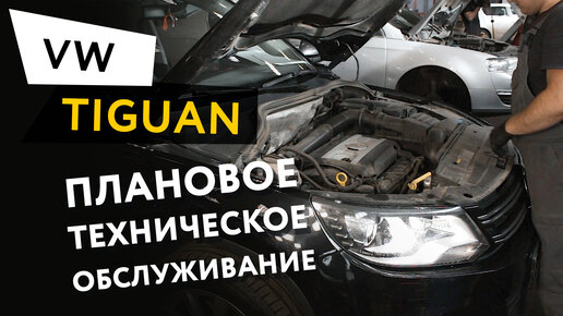 Плановое техническое обслуживание автомобиля Volkswagen Tiguan 2,0 TSI