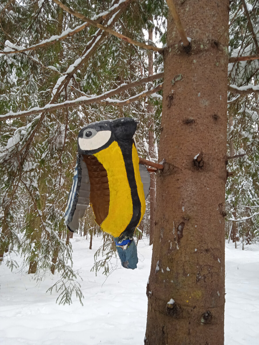 В нашем лесу висят такие креативные кормушки