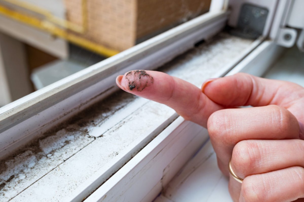    На каком этаже жить безопаснее? Учёные изучили состав пыли на окнах