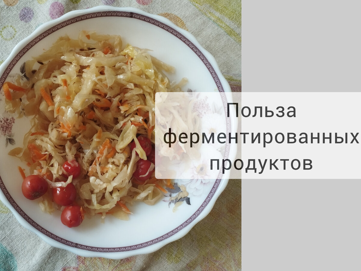 Это домашняя капуста. Капуста содержит витамин U, который заживляет слизистую оболочку ЖКТ ( даже эрозии и язвы). Квашенная капуста за счёт усиленных свойств ещё больше обещает регенерацию, читайте статью