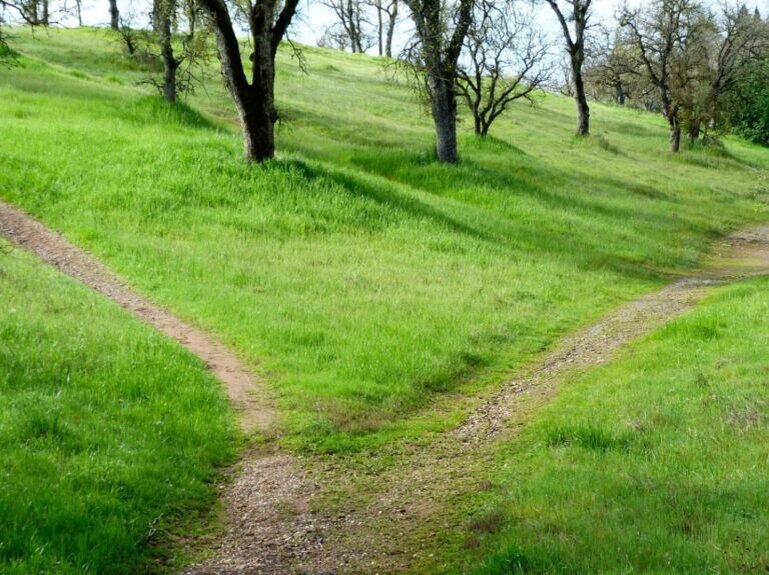    Оренбуржцы могут проверить недвижимость на кадастровой карте Росреестра Кристина Просвиркина