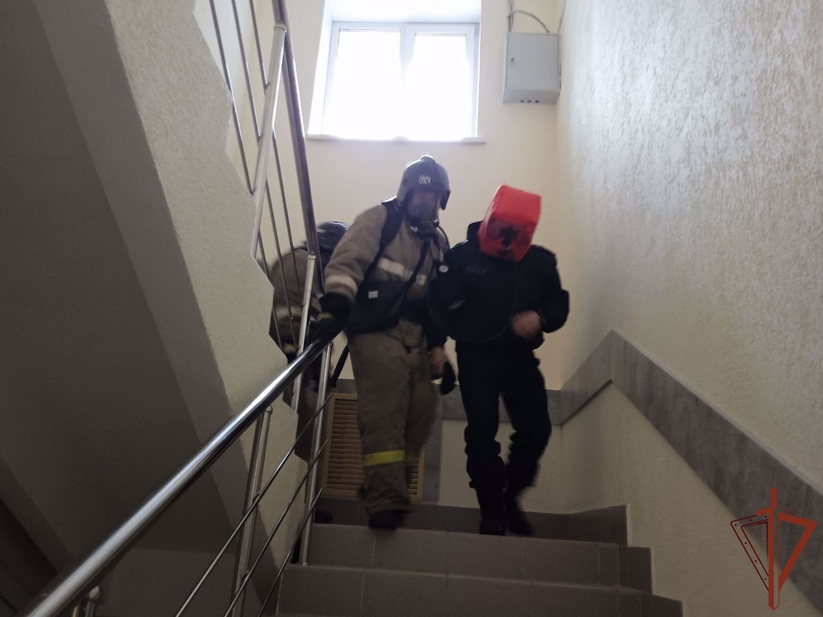Фото в свободном доступе.