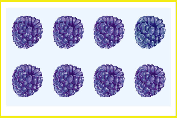     Сложный визуальный тест для людей с хорошим зрением: найдите малину, которая отличается от остальных