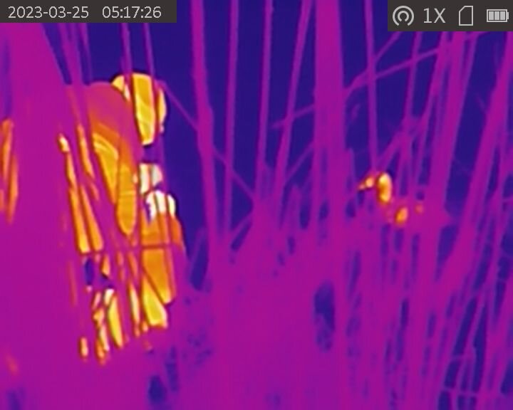 Жека высаживает подсадную