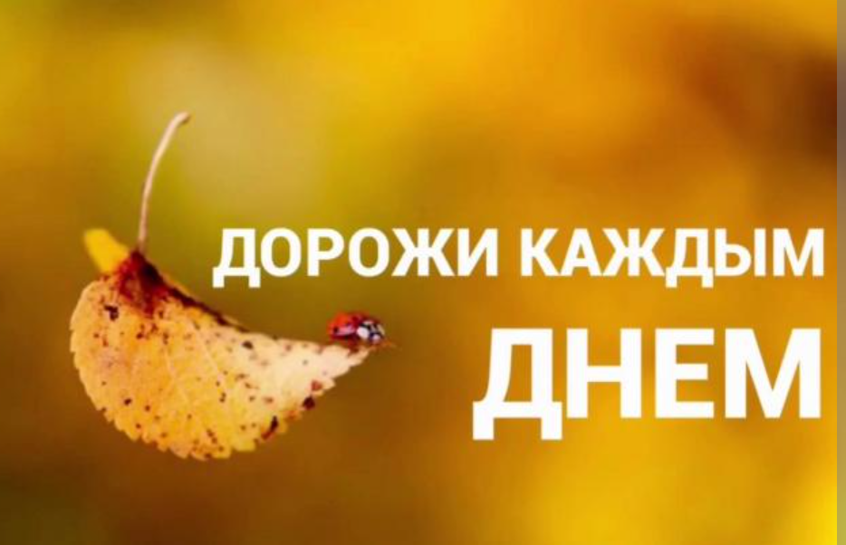 Цените каждый день жизни! Дорожите каждым моментом! Будьте счастливы!🙏🤗🥰❤️