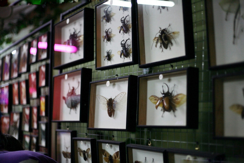 Листайте вправо, чтобы увидеть больше изображений