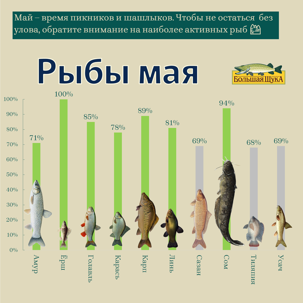 Календарь рыбака. Рыба май. Календарь рыбной ловли. Прогноз щуки