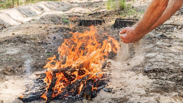    Фото: GrashAlex / Shutterstock / Fotodom