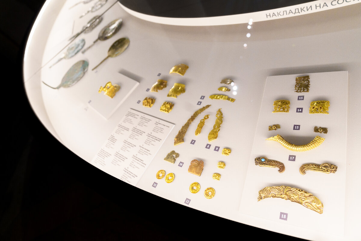 Экспозиция выставки «Золото сарматских вождей». 