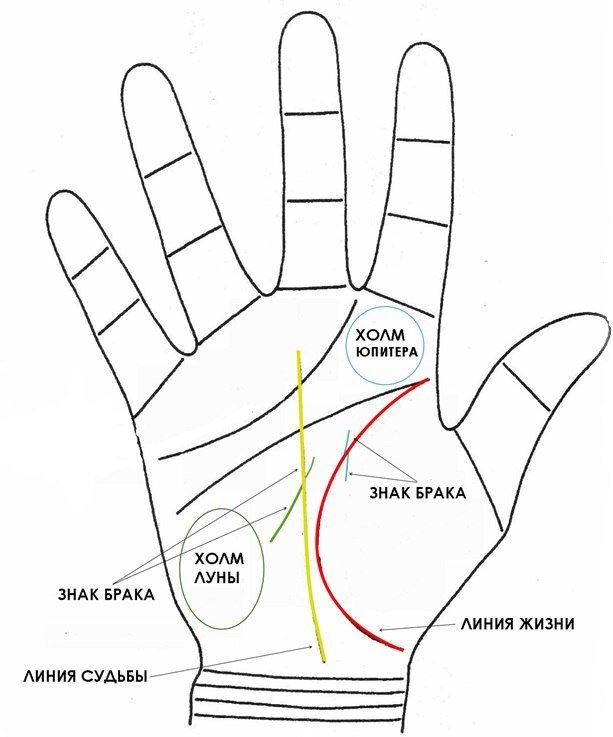 Хиромантия линии. Хиромантия 3 линии на линии брака. Линия радости на линии жизни. Линия радости на руке. Линия брака на ладони.