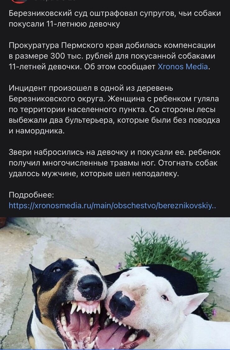 Событие произошло в моей деревне 