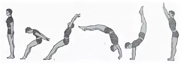 Акробатические упражнения фляк рондат. Китайский фляк. Упражнения для сальто вперед. Фляк в гимнастике. Фляг акробатика рондат.