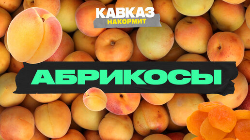 Абрикосы | Кавказ накормит