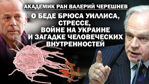 Академик Валерий Черешнев о болезнях войны на Украине и деградации мозга Брюса Уиллиса / #ЗАУГЛОМ #УГЛАНОВ