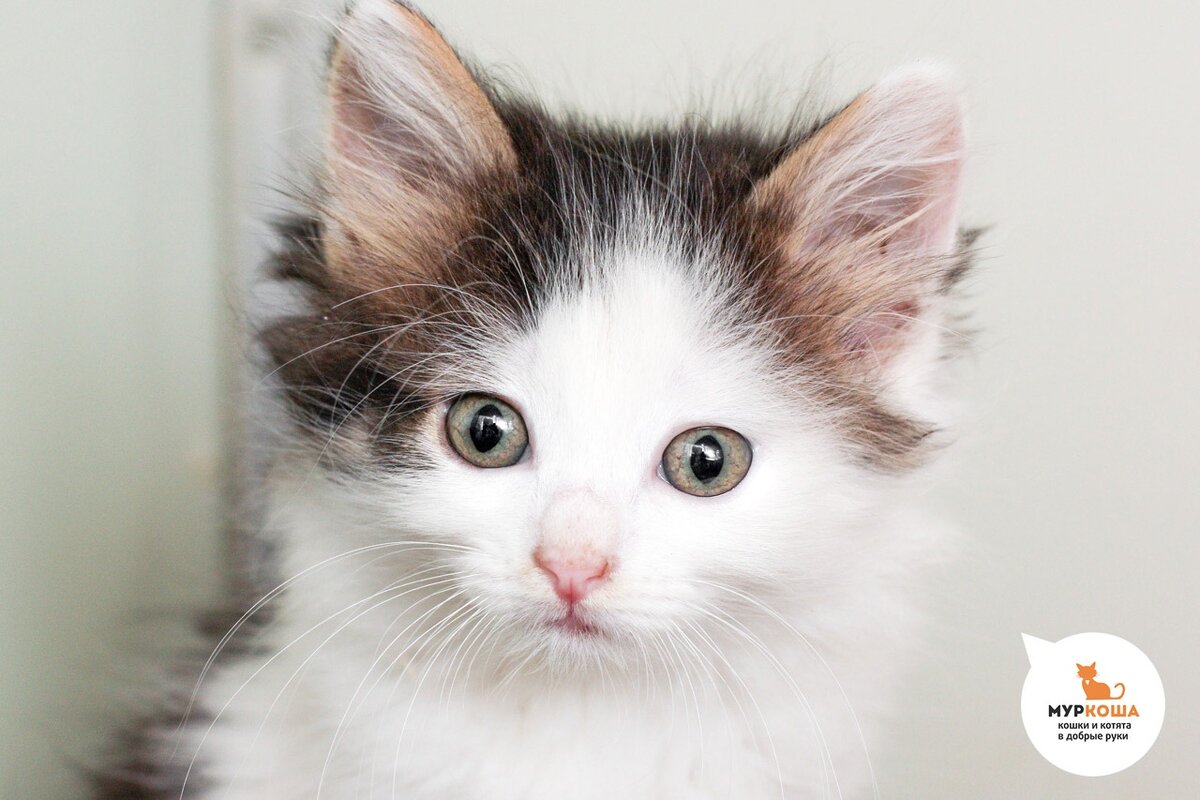 Малышка Паинька