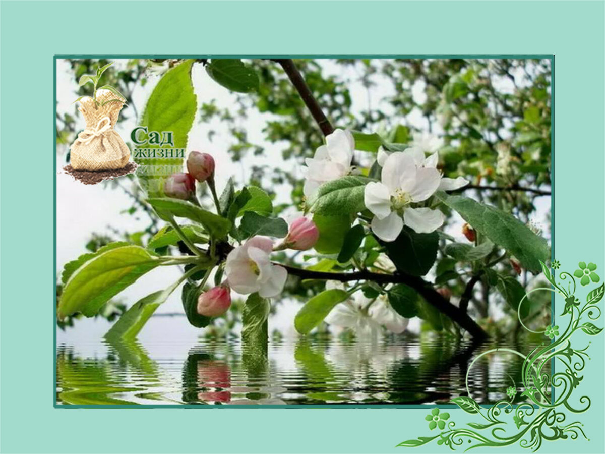 Грунтовые воды