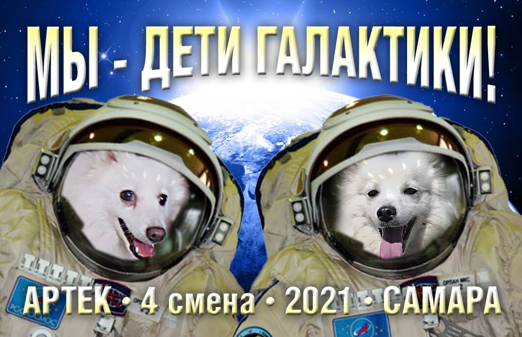 Почему в космос отправляли собак. Собаки в космосе. День космонавтики собаки. Кот космонавт. Праздник Космонавтов.