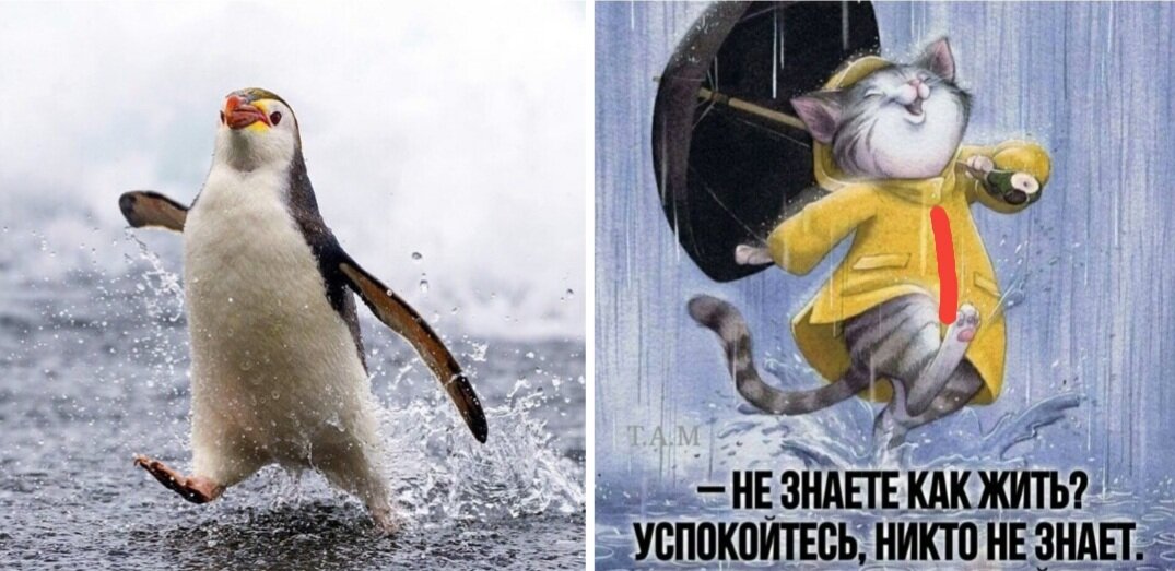 Просто живите и радуйтесь!