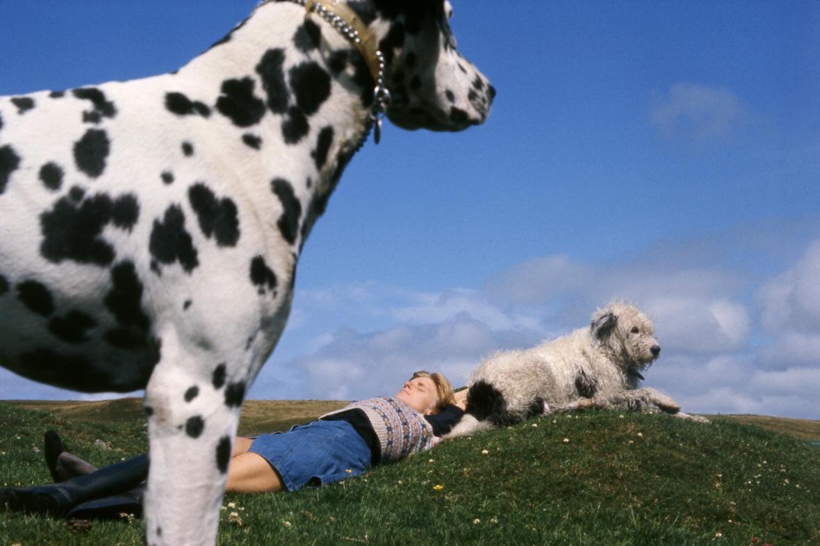 Линда с Лаки и Миднайт, Шотландия, 1975 © PAUL MCCARTNEY/PHOTOGRAPHER: LINDA MCCARTNEY