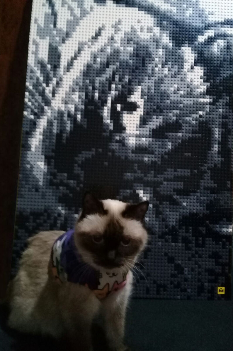 Сравните размер. Мушу много не бывает😂