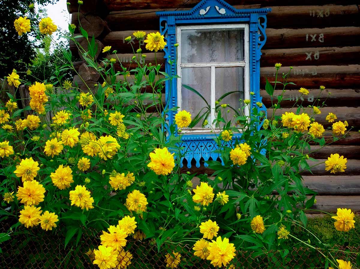 Сельский уют