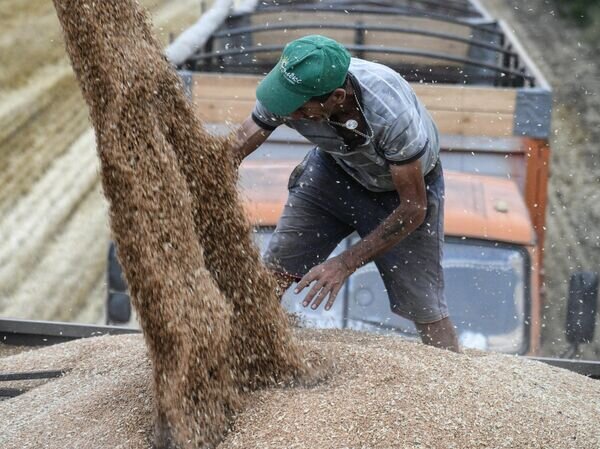   © РИА Новости Константин Михальчевский