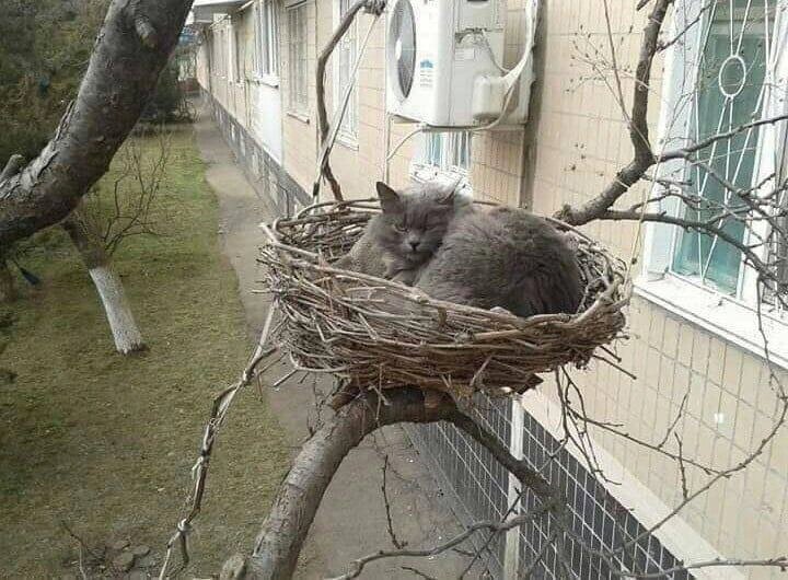 Посмеялся сам - поделись с другом!!!