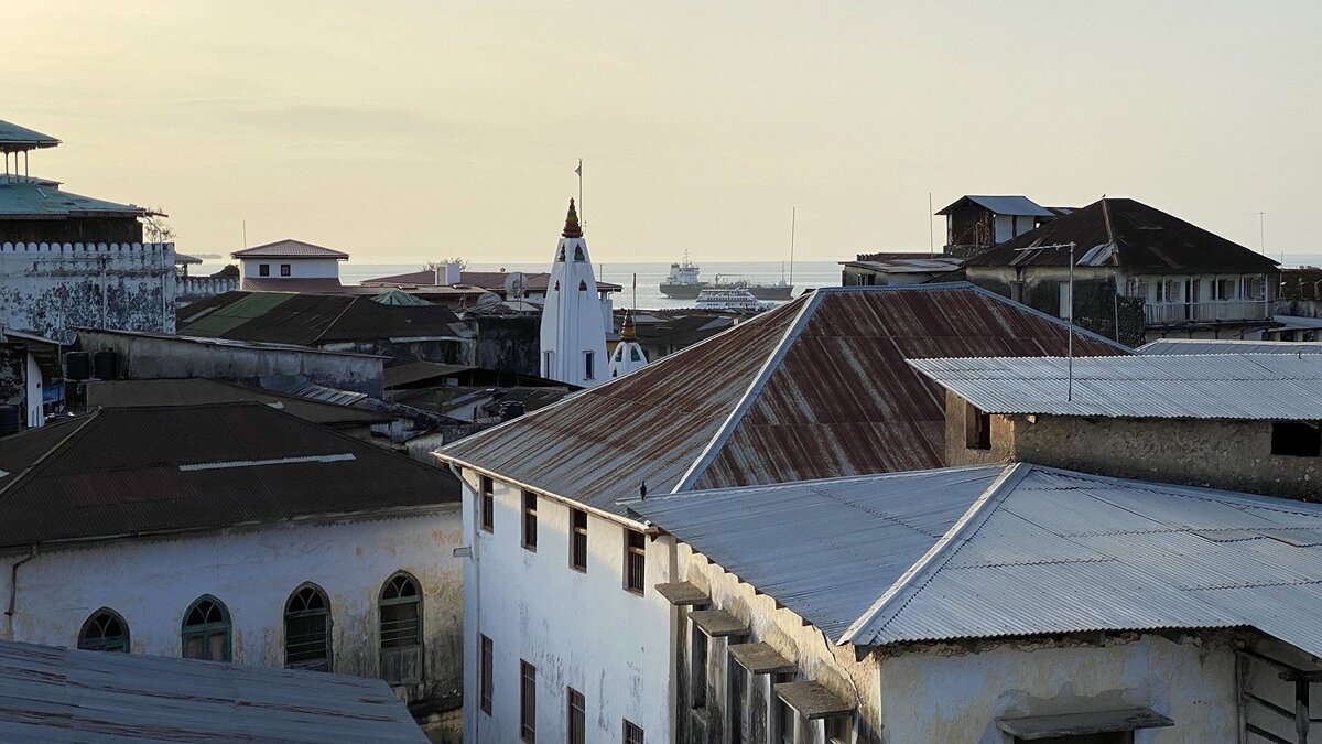    Танзания© РИА Новости . Михаил Алаеддин