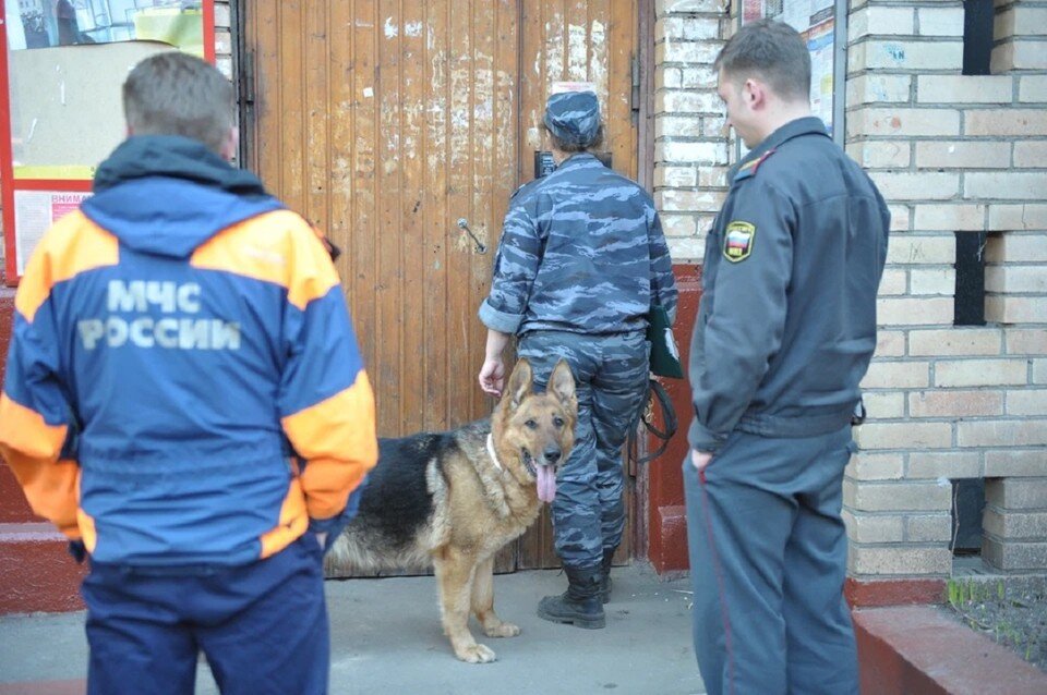     Взрывоопасные предметы в основном закладывали в школах, университетах, больницах и судах Ростова-на-Дону. Евгения ГУСЕВА