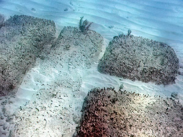 Каменные блоки вблизи/ © globalfolio.net