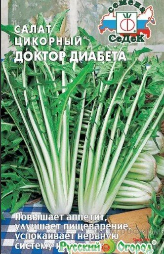 Как вырастить цикорный салат в домашних условиях на подоконнике