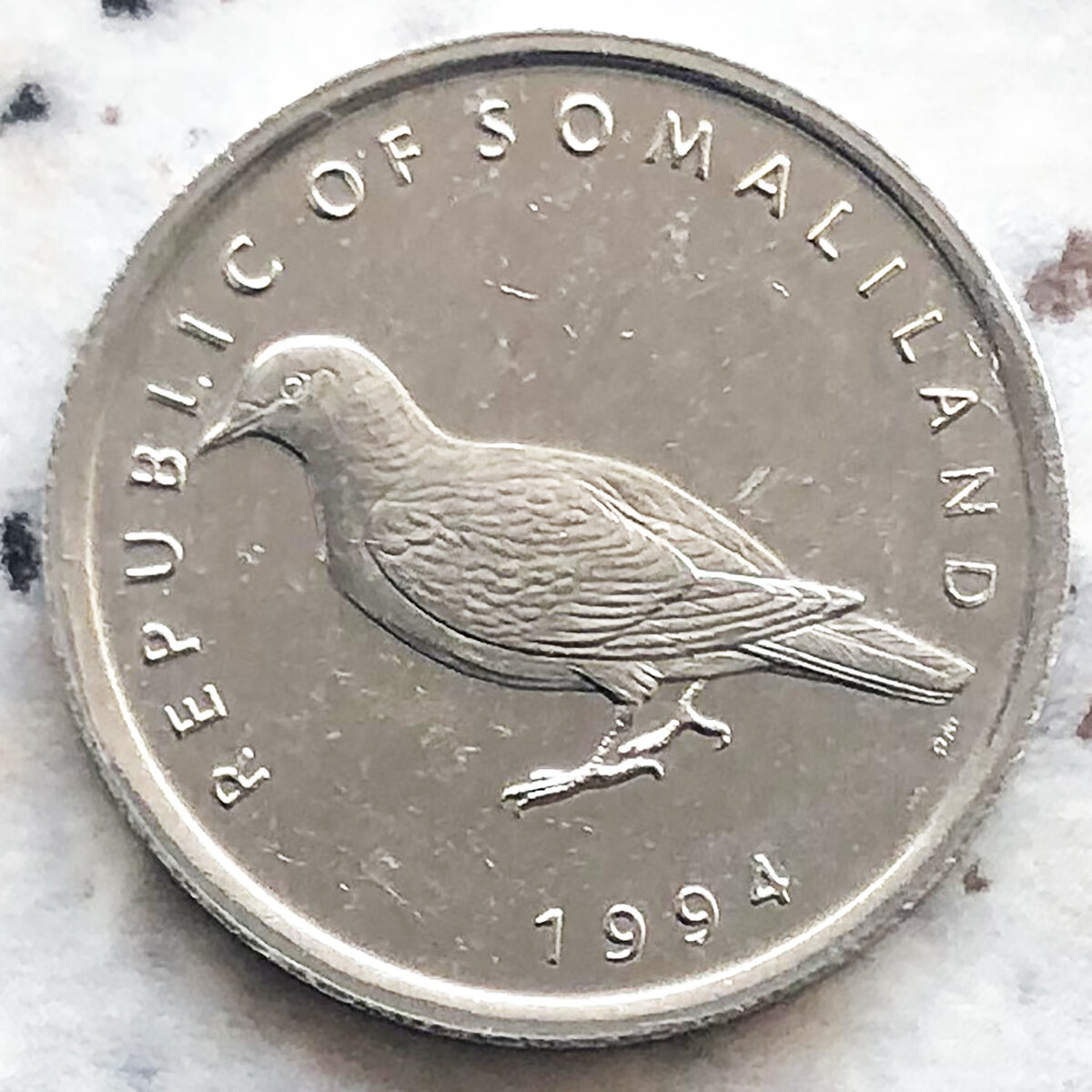 Сомалиленд 1 шиллинг 1994 Сомалийский Голубь. Фото автора.