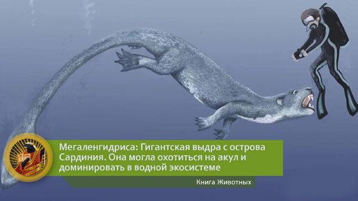 Мегаленгидриса: Гигантская выдра с острова Сардиния. Она могла охотиться на акул и доминировать в водной экосистеме | Видео 🎥