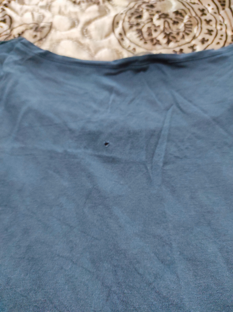 фото автора. В Лазаревке зацепилась за ветку.