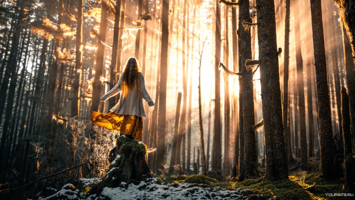 Картинка из интернета.