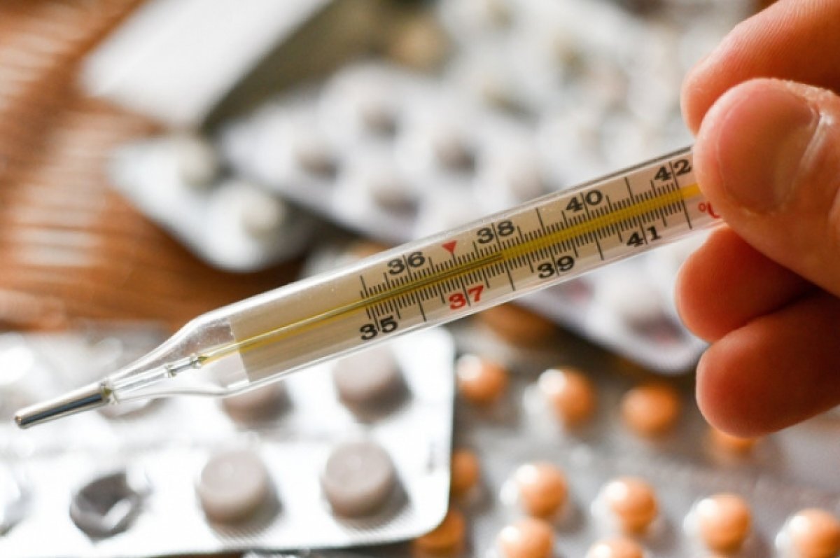    Гинцбург: грипп В со временем вытеснит грипп А на территории РФ