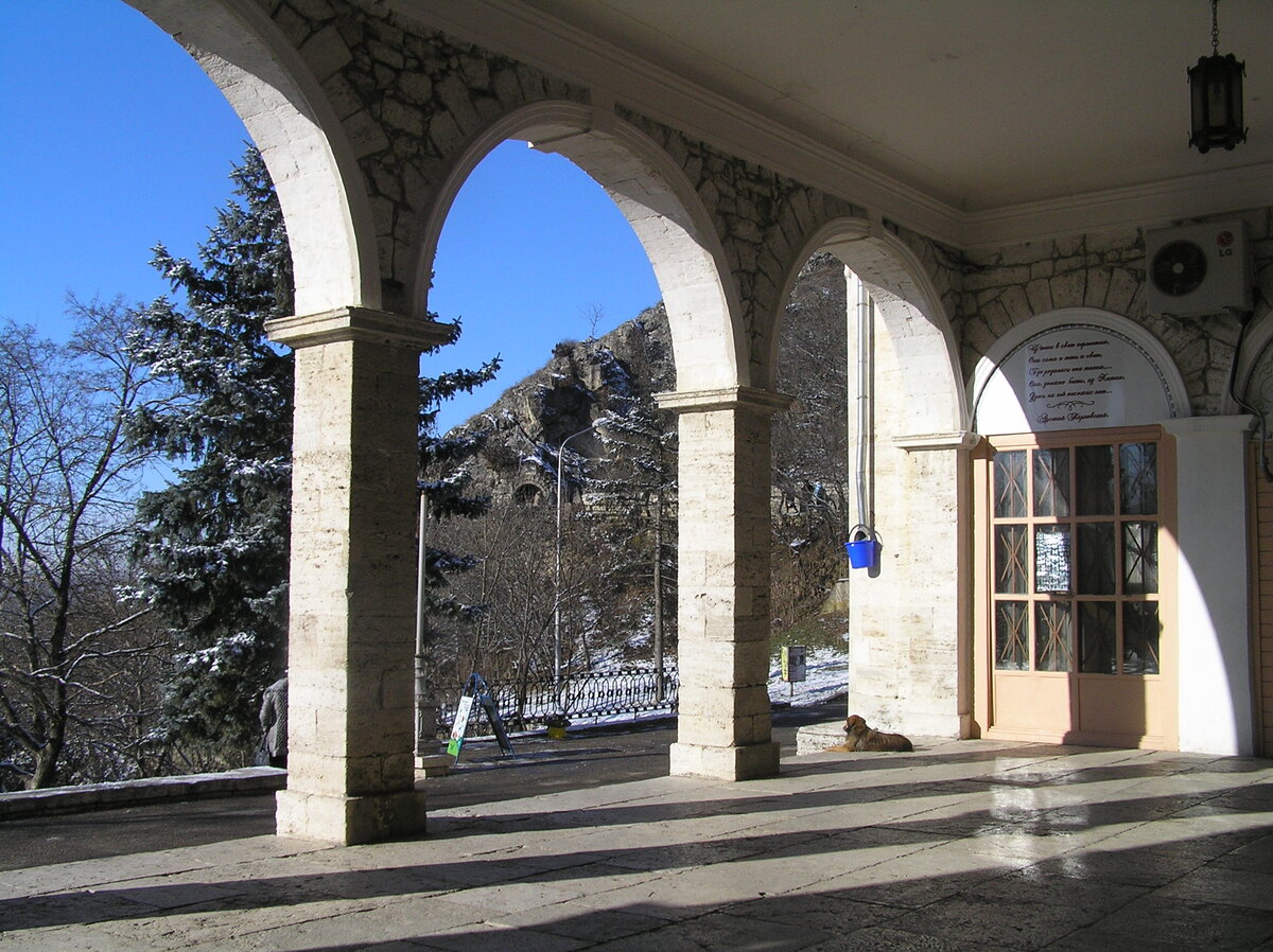 Академическая (бывш. Елизаветинская) галерея (январь 2010 года)