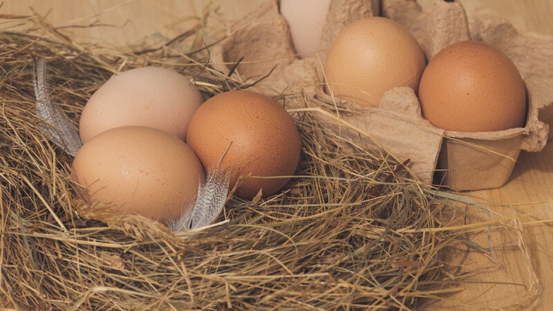     Яйца, продукты, здоровое питание. pixabay.com/