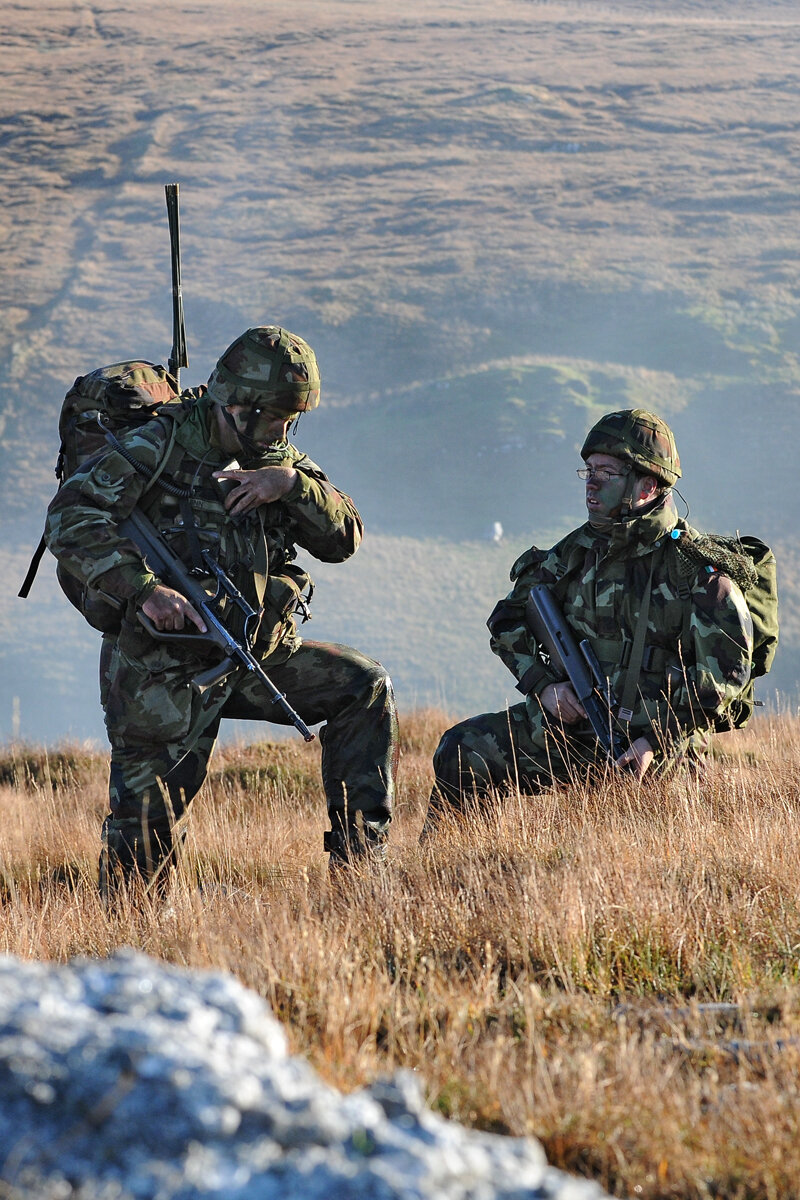    Irish Defence Forces, Wikimedia Commons - CC0