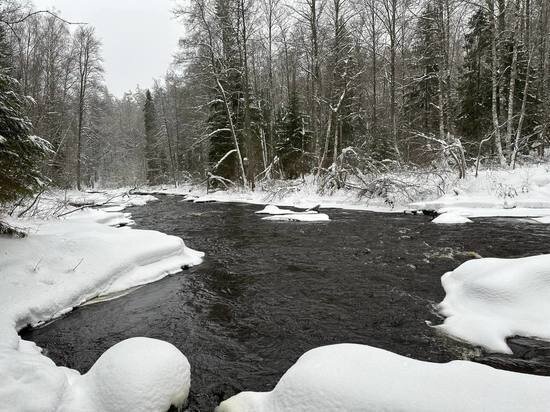     Если на Емельяна тихо (нет ветра), то лето будет солнечно. Фото: МК в Питере