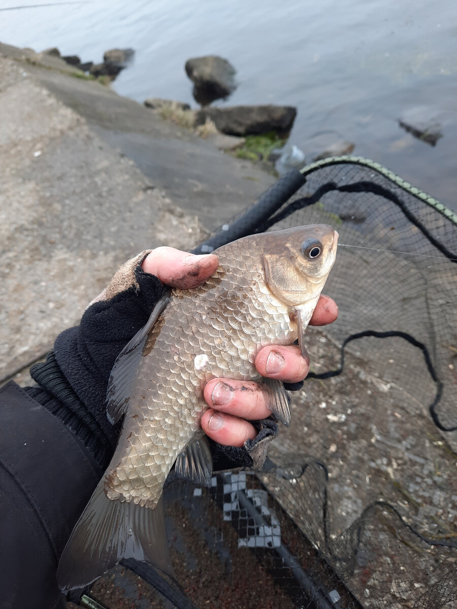 Рыбалка зимой на открытой воде: секреты успеха и лучшие снасти