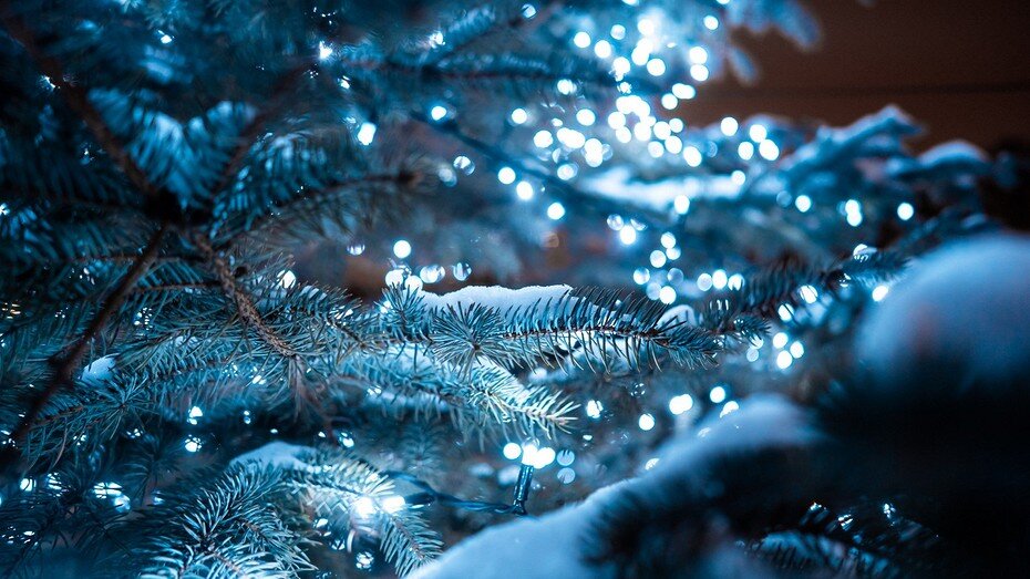     Здесь и далее: freepik.com