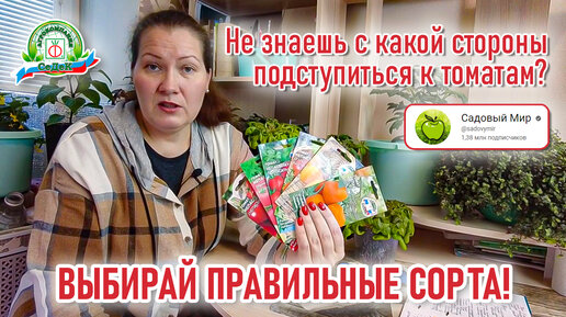 Непас значит Непасынкующийся! Что за томаты, которые пасынковать не ...