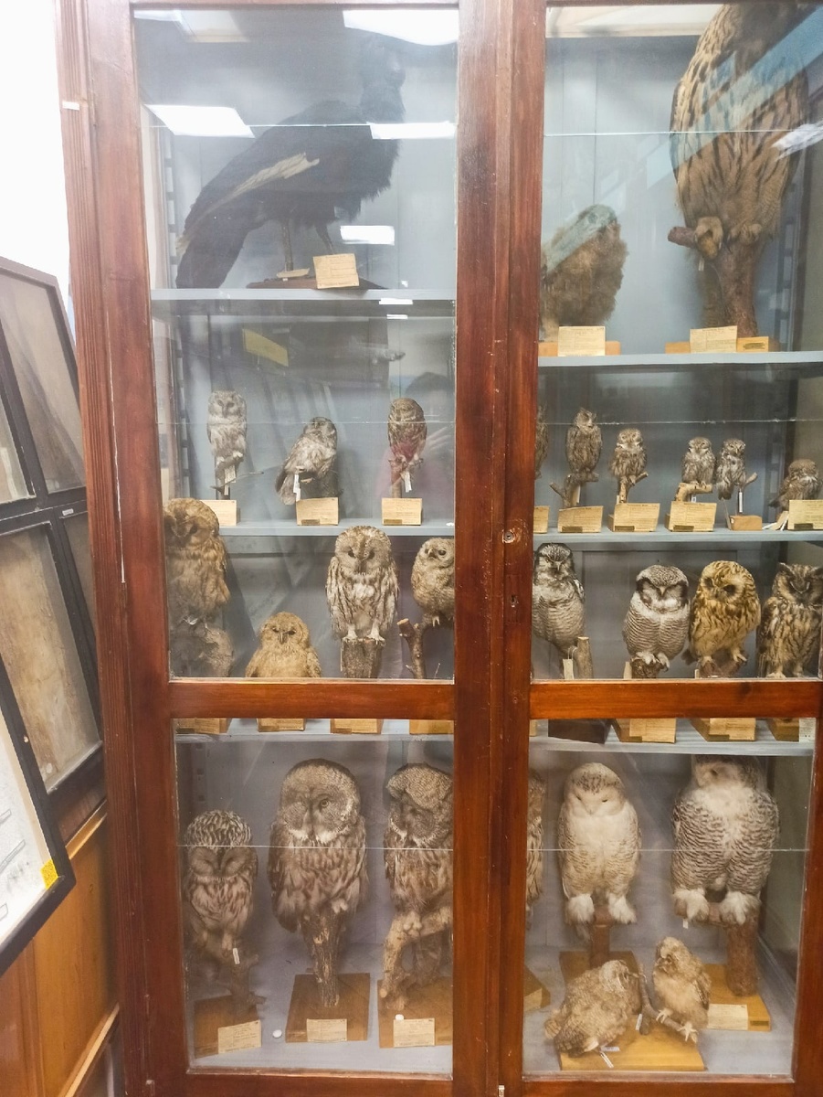 Источник фото: https://vk.com/scientifictravels